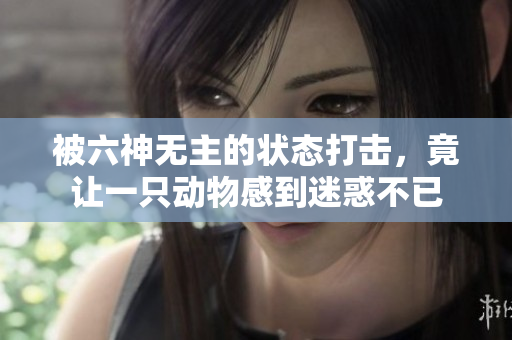 被六神无主的状态打击，竟让一只动物感到迷惑不已