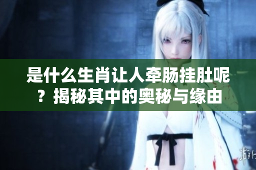 是什么生肖让人牵肠挂肚呢？揭秘其中的奥秘与缘由