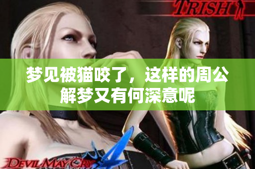 梦见被猫咬了，这样的周公解梦又有何深意呢