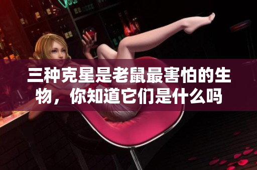 三种克星是老鼠最害怕的生物，你知道它们是什么吗