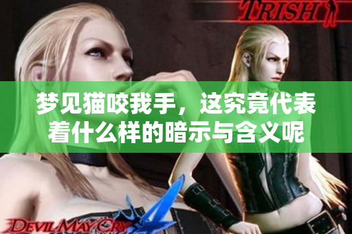 梦见猫咬我手，这究竟代表着什么样的暗示与含义呢