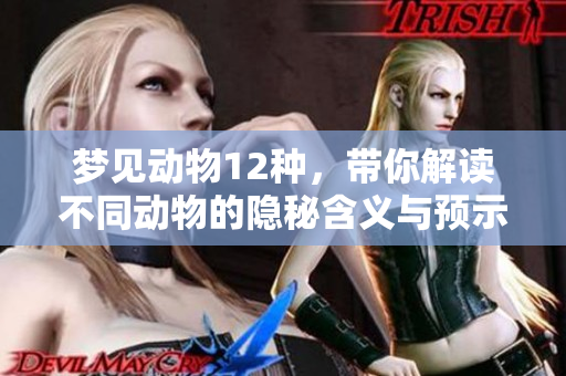梦见动物12种，带你解读不同动物的隐秘含义与预示