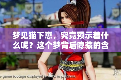梦见猫下崽，究竟预示着什么呢？这个梦背后隐藏的含义是什么？