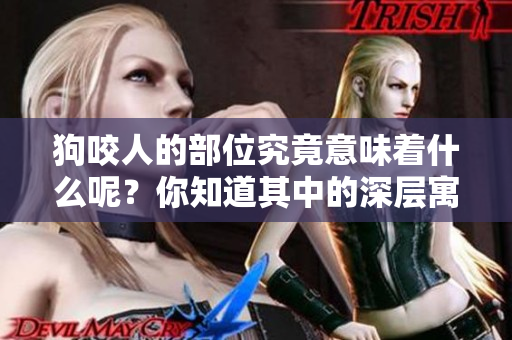 狗咬人的部位究竟意味着什么呢？你知道其中的深层寓意吗