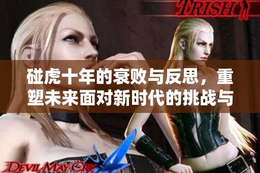 碰虎十年的衰败与反思，重塑未来面对新时代的挑战与机遇