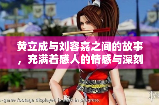 黄立成与刘容嘉之间的故事，充满着感人的情感与深刻的经历