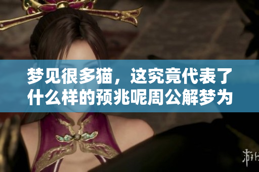 梦见很多猫，这究竟代表了什么样的预兆呢周公解梦为你解读