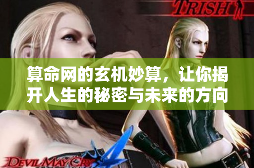 算命网的玄机妙算，让你揭开人生的秘密与未来的方向