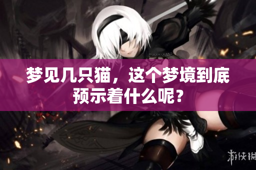 梦见几只猫，这个梦境到底预示着什么呢？