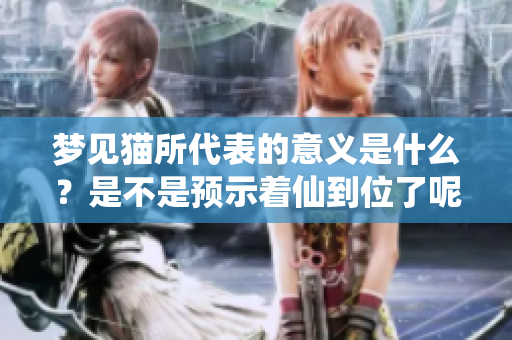 梦见猫所代表的意义是什么？是不是预示着仙到位了呢？